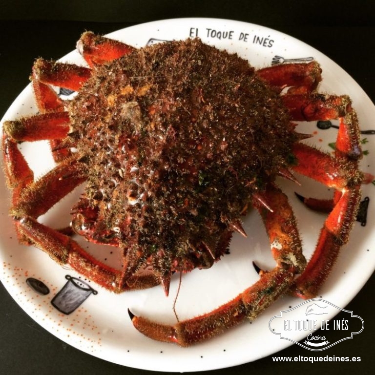 Como está viva la meteremos en la olla en agua fría, así no se le caerán las patas.