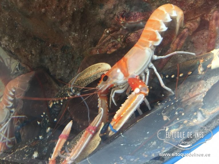 100% mariscos gallegos tienen en O Grove.