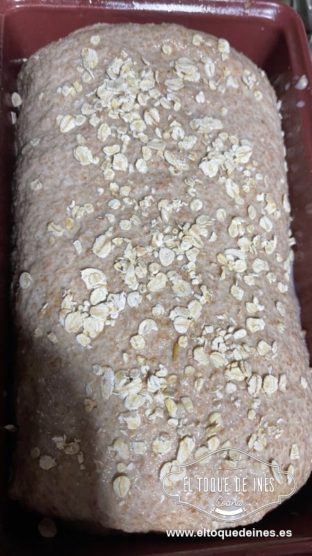 Dejamos fermentar de nuevo hasta que llegue al borde del molde, pintamos con un poquitín de leche y espolvoreamos con copos de avena (esto es opcional).