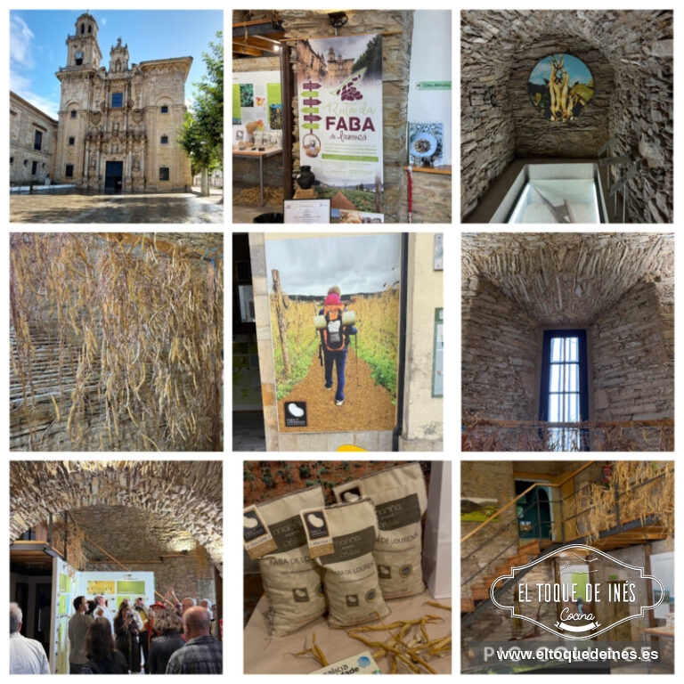 Salida en bus de nuevo hacia la comarca de Lourenzá, visita guiada a la Cooperativa de fabas de Lourenzá.  Está protegida por una Indicación Geográfica Protegida (IGP) desde una orden en 2008, lo que obliga a cumplir unos estándares de calidad, trazabilidad, origen geográfico y proceso de producción.
 El objetivo principal de esta cooperativa es profesionalizar el cultivo, mejorar la comercialización (etiquetado, control de calidad, trazabilidad), estabilizar precios y lograr que los productores puedan vivir dignamente de la faba, no solo como complemento.