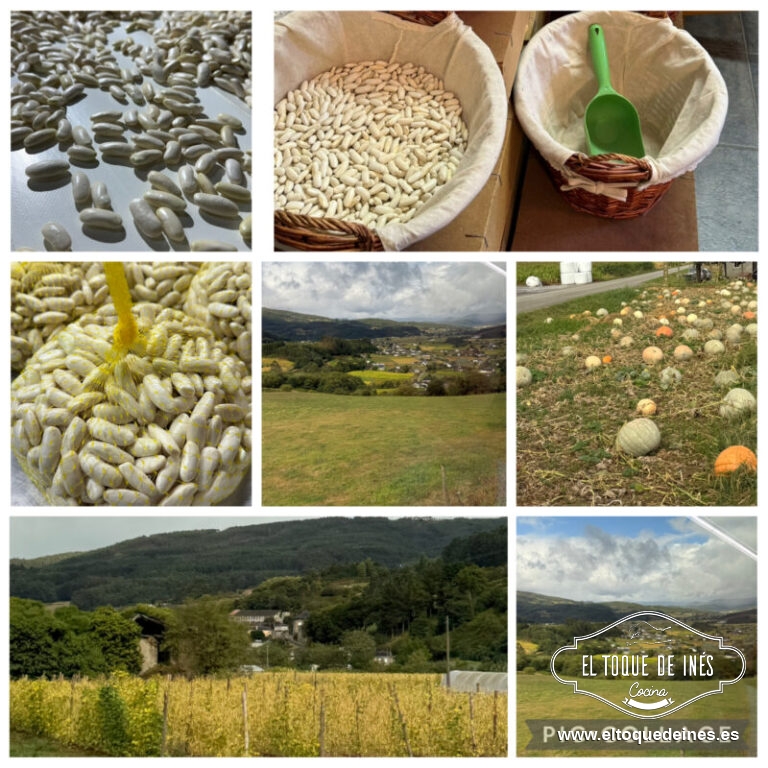 Y para finalizar nos llevaron a un recorrido en bus por la comarca viendo in situ las plantaciones de fabas, en diferentes estadíos de su cultivo, recogida y producción.